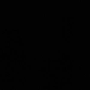 Meet your Posher, Miranda